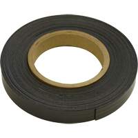 Bandes magn&eacute;tiques, 100' lo x 1" la, &eacute;paisseur 1/16", Force de 6 lb par pi lin. Pathway Supply LP