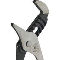 Groove Joint Pliers, 10" Pathway Supply LP
