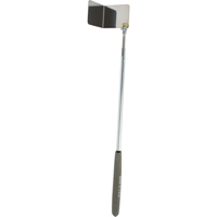 Miroir d'inspection Read Rite, Triangulaire, 3-1/2" lo x 3-1/2" la, Non t&eacute;lescopique Pathway Supply LP
