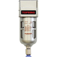 Filtreurs, Modulaire, 1/4" NPT, Drain Semi-automatique, Pour Eau Pathway Supply LP