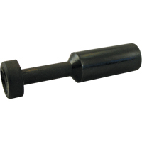 P.t.c. Plug Pathway Supply LP