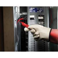 D&eacute;tecteur de tension, 50 - 1000 V, Alerte Son Pathway Supply LP