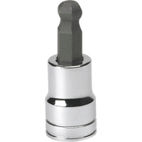 SAE Bit Socket, Hex Ball, 3/8" x 1.968" L, 3/8" Drive Pathway Supply LP