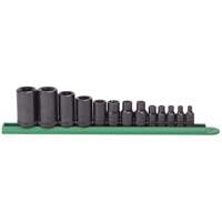 External Torx&reg; Socket Set, 1/2"/1/4"/3/8" Drive Pathway Supply LP