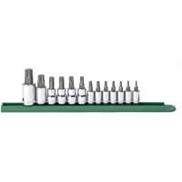 Jeu de douilles &agrave; embouts, Torx, Prise 1/2"/1/4"/3/8", 13 mrcx Pathway Supply LP