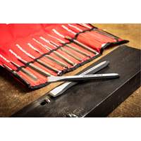 Punch & Chisel Set, 12 Pieces Pathway Supply LP