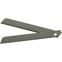 Replacement Blades, Snap-Off Style Pathway Supply LP