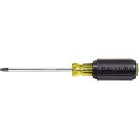 Tournevis Klein a/manche caoutchout&eacute;-Tournevis Torx &agrave; tige ronde Pathway Supply LP