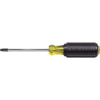 Tournevis Klein a/manche caoutchout&eacute;-Tournevis Torx &agrave; tige ronde Pathway Supply LP