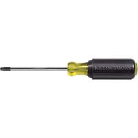 Tournevis Klein a/manche caoutchout&eacute;-Tournevis Torx &agrave; tige ronde Pathway Supply LP