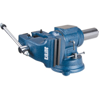 Multi-Purpose Bench Vise, 5" Jaw Width, 3-1/10" Throat Depth Pathway Supply LP