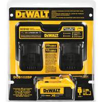 Borne de recharge pour chantier et bloc-piles 4,0 Ah, 12 V/20 V, Lithium-ion Pathway Supply LP