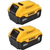 Bloc-piles Max XR Premium, Lithium-ion, 20 V, 5 A Pathway Supply LP