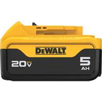 Bloc-piles Max XR Premium, Lithium-ion, 20 V, 5 A Pathway Supply LP