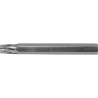 Multique Multi-Bit Screwdriver -Replacement Bit, Torx, 6, 3/16" Drive Pathway Supply LP