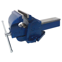 Ductile Iron Mechanics Bench Vise, 8" Jaw Width, 4" Throat Depth Pathway Supply LP
