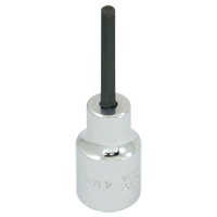 Embout de rechange, 5 mm x 1-1/5" lo, Prise 3/8" Pathway Supply LP