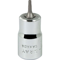 Douille &agrave; embout, Torx, T8 x 2-1/8" lo, Prise 3/8" Pathway Supply LP