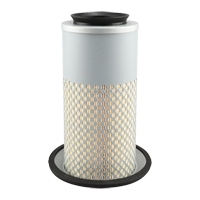 PA3833 &eacute;l&eacute;ment de filtre &agrave; air Pathway Supply LP