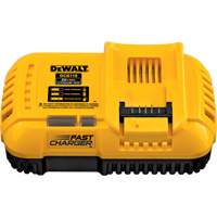 Chargeur rapide refroidi par ventilateur, 20 V, Lithium-ion Pathway Supply LP