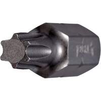 Insert Bit, Torx, 7, 1/4" Drive Pathway Supply LP