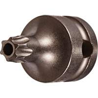 Embout &agrave; ins&eacute;rer, Torx inviolable, 25 x 1" lo, Prise 3/8" Pathway Supply LP