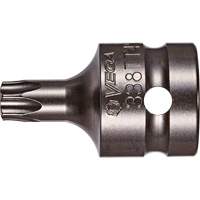 Embout &agrave; ins&eacute;rer, Torx inviolable, 30 x 1-1/2" lo, Prise 1/2" Pathway Supply LP