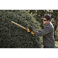 Taille-haie sans fil Max, 22", 20 V, &agrave; pile Pathway Supply LP
