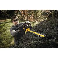 Taille-haie sans fil Max, 22", 20 V, &agrave; pile Pathway Supply LP