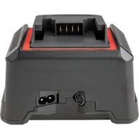 2.5 Ah & 5.0 Ah Battery Charger, 120 V, Lithium-Ion Pathway Supply LP