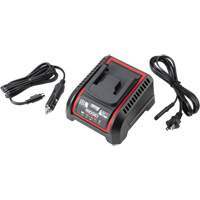 2.5 Ah & 5.0 Ah Battery Charger, 120 V, Lithium-Ion Pathway Supply LP