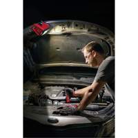 M12 Rover Mounting Flood Light, LED, 250 W, 1000 Lumens Pathway Supply LP