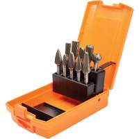 DC Carbide Burr Kit, 10 Pieces Pathway Supply LP