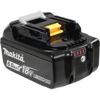 Battery, Lithium-Ion, 18 V, 6 A Pathway Supply LP