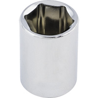 Douille chrom&eacute;e ordinaire, 1/2", Prise 3/8", 6 pans Pathway Supply LP
