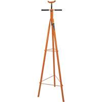 Under Hoist Stabilizing Stand Pathway Supply LP