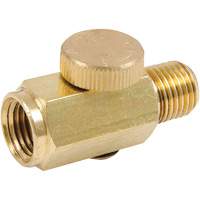 AR5401 Air Regulators - Brass, 1/4" NPT Pathway Supply LP