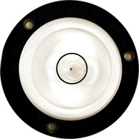 Niveau Bull's-Eye Pathway Supply LP
