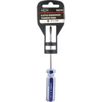 Tournevis &agrave; fente bleu transparent avec bandes , Tige de 1/8", Ronde, Prise en Plastique Pathway Supply LP