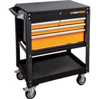 MEGAMOD Master Mechanics Tool Set in Premium Modular Foam Trays with Tool Storage, 1268 Pieces Pathway Supply LP