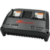 Chargeur universel s&eacute;rie IQV, 12 V/20 V, Lithium-ion Pathway Supply LP