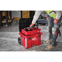 Boîte &agrave; outils sur roues PACKOUT, 18" x 22" x 19-1/2", Noir/Rouge Pathway Supply LP