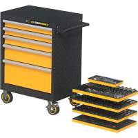 Mechanics Tool Set in Modular Foam Trays with Storage Unit, 247 Pieces Pathway Supply LP