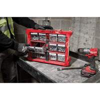Organisateur PACKOUT &agrave; bac inclinable, 15-1/5" x 19-7/10" x 6-7/10", Noir/Rouge Pathway Supply LP