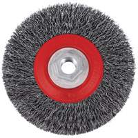 5C14T High Performance Crimped Wire Brush, 5" Dia., 0.014" Fill, 5/8"-11NC Arbor Pathway Supply LP