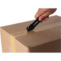 Couteau de s&eacute;curit&eacute; jetable , Acier inoxydable, Prise en Plastique Pathway Supply LP