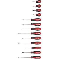 Tri-Lobe Screwdriver Kit, 13 Pcs., Magnetic Pathway Supply LP