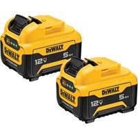 Bloc-piles Max*, Lithium-ion, 12 V, 5 Ah Pathway Supply LP