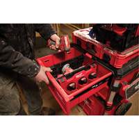 Divider for PACKOUT Drawer Tool Boxes Pathway Supply LP