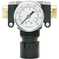 MODULAIR 200 Acetal Piston Regulator, 1/4" NPT, 150 PSI Max. PSI, In Line/Modular Pathway Supply LP
